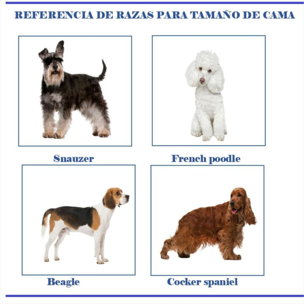 Camas para perros online french poodle