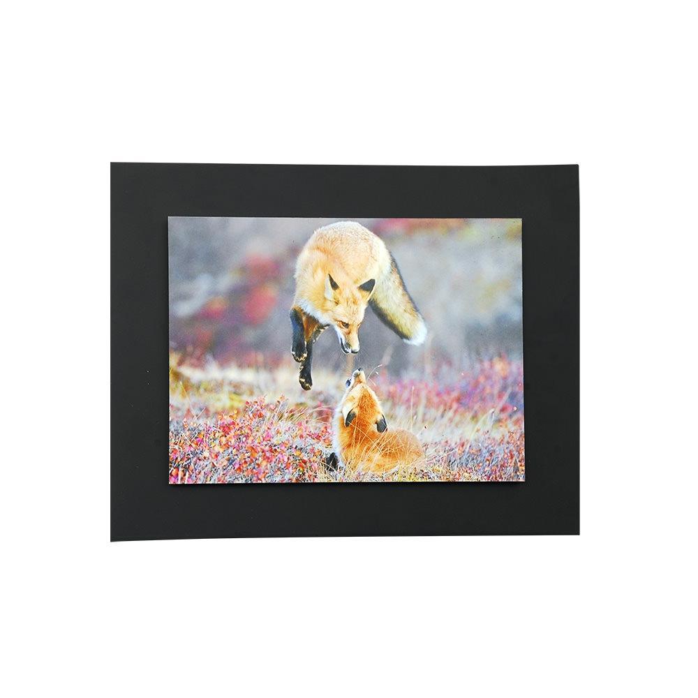 Cuadro Flotante Para Foto 40 X 50 Cm Negro img #2
