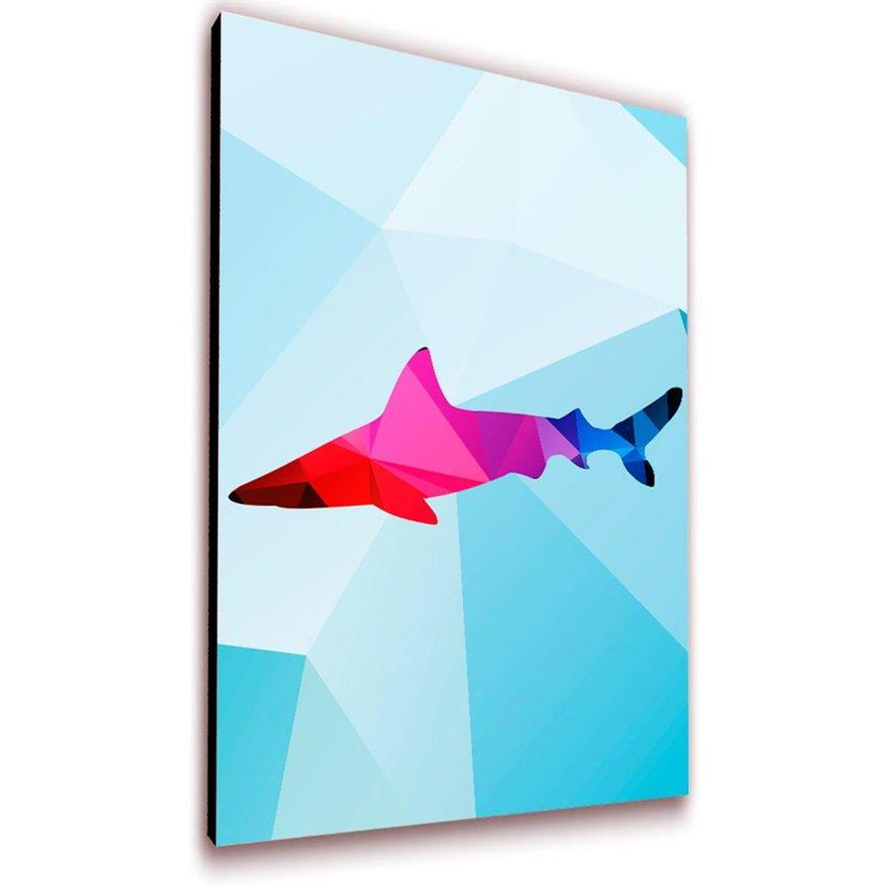 Cuadro 50 X 30 Cms Decorativo Tiburon img #2