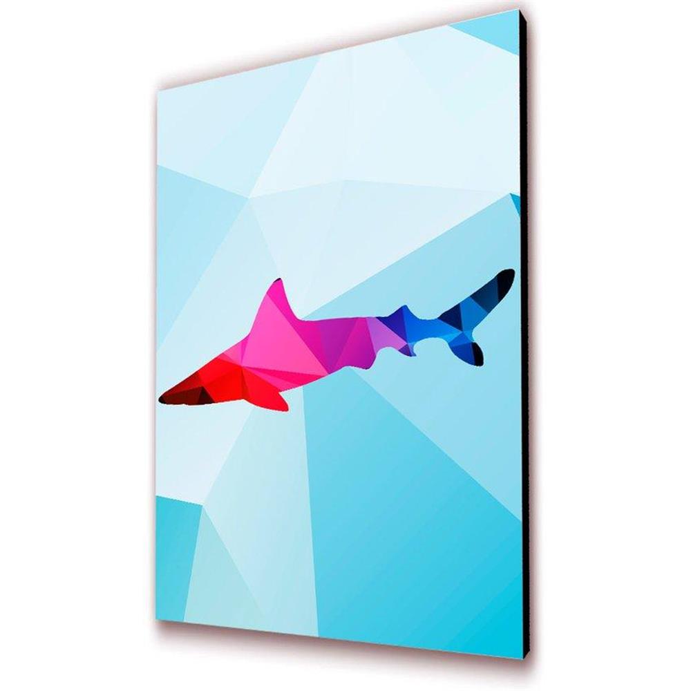 Cuadro 50 X 30 Cms Decorativo Tiburon img #1