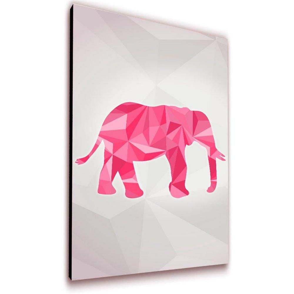 Cuadro 50 X 30 Cms Decorativo Elefante 2 img #2