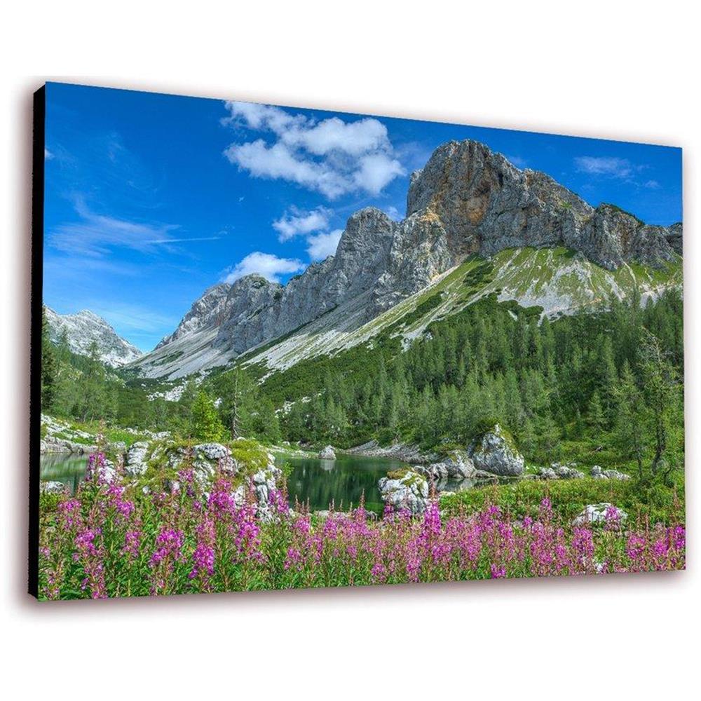 Cuadro 50 X 30 Cms Decorativo Montanas 3 img #1