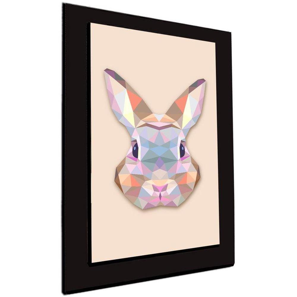 Cuadro 60 X 40 Cms Decorativo Conejo img #2