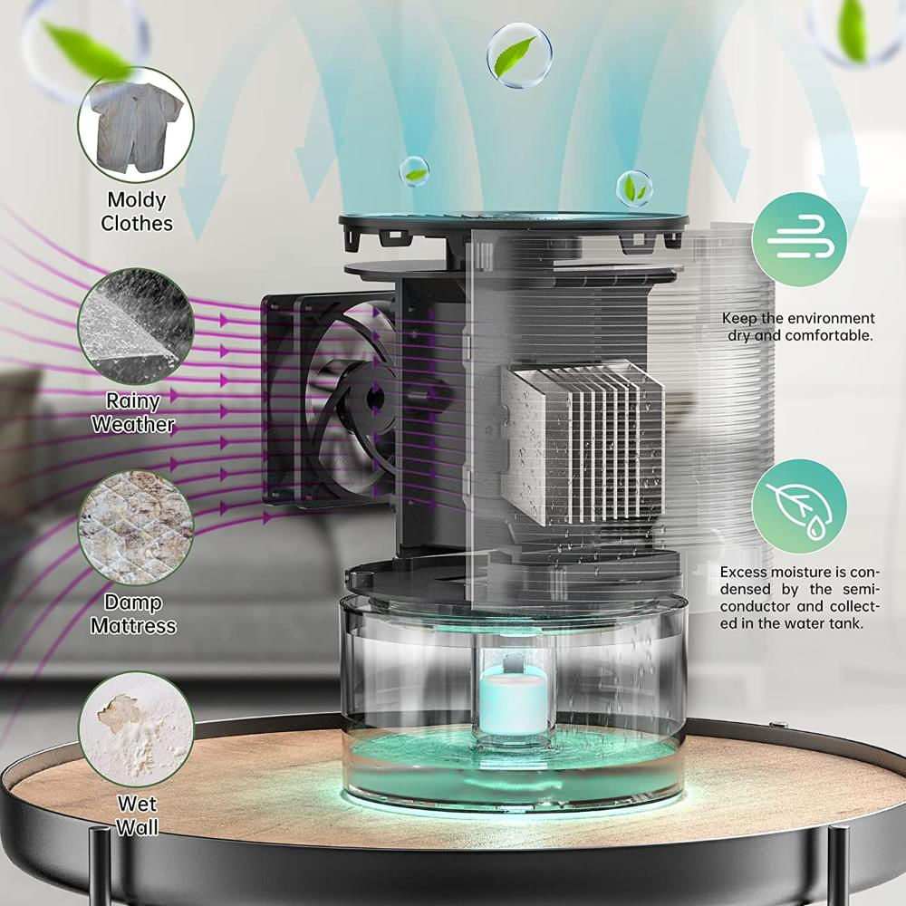 Deshumidificador Pequeño Portátil Kioudic img #3
