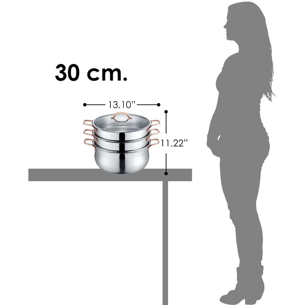 Vaporizador Concord Premium De Acero Inoxidable img #4