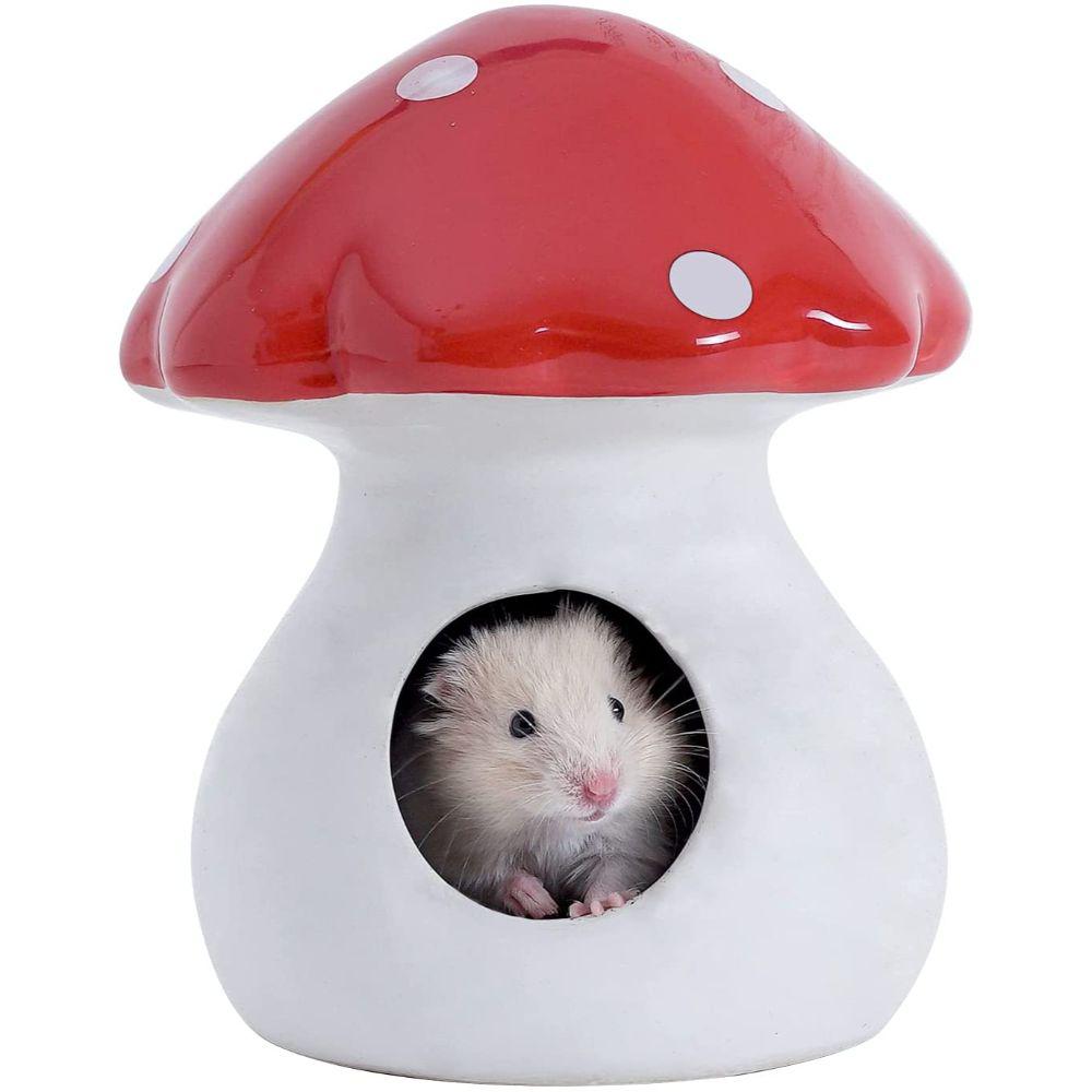 Casa De Hámster Con Forma De Hongo Forestal Mousebro