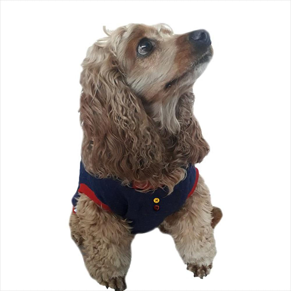 Buso Urbano Con Capota Talla L Peludito Azul * Rojo Boton Dino Rojo Y Amarillo img #3