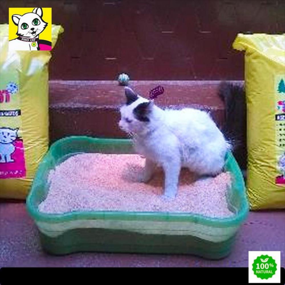 Pinocat Arena Ecologica A Base De Pino Para Gatos 900 Gr img #6