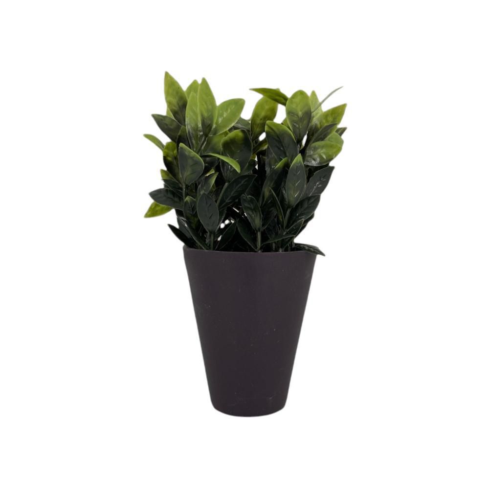 Planta Con Pote Laurel CONCEPTS 592301396