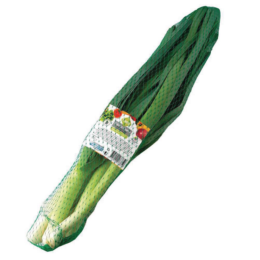 CEBOLLA PUERRO ORGAN TAEQ 500 gr