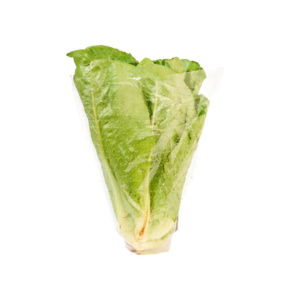 LECHUGA ROMANA ECOLOG. BOLSA TAEQ 220 gr