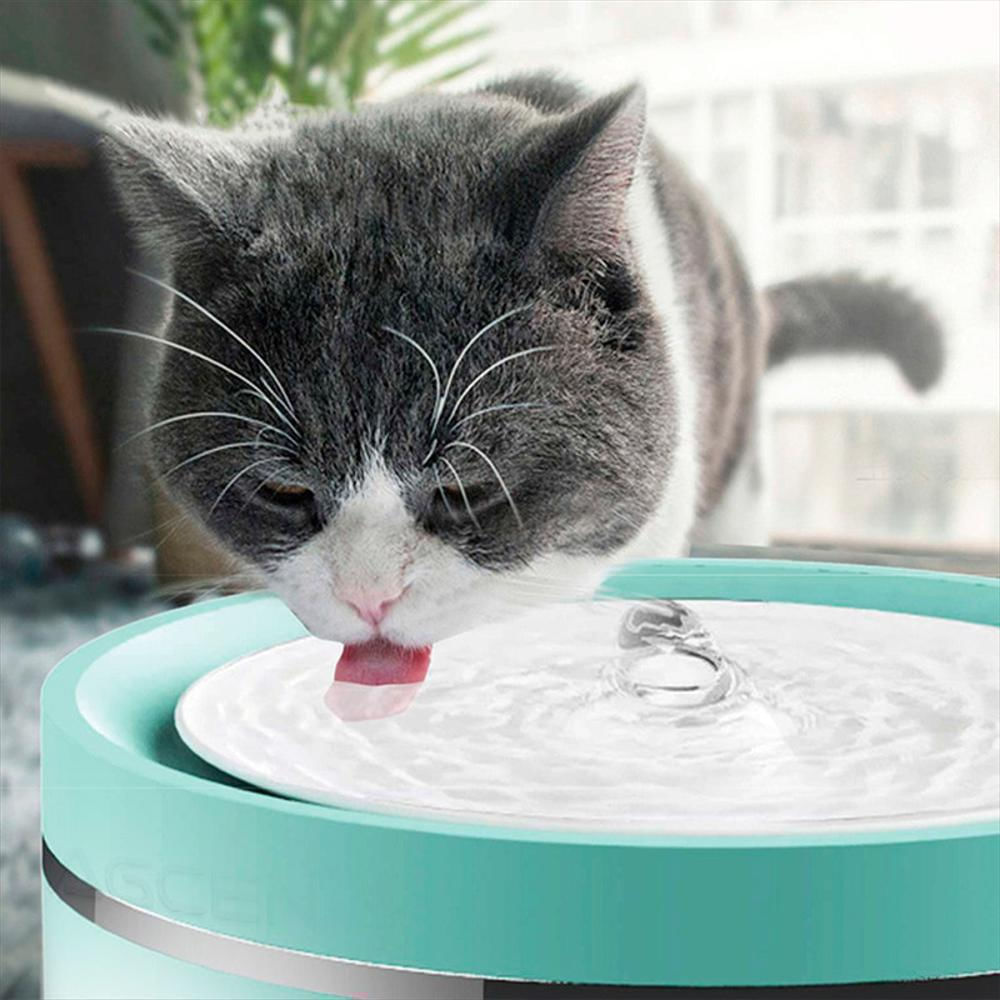 Fuente De Agua Para Gatos Purificadora Con Filtro Para Mascotas 1.8 Lt img #5