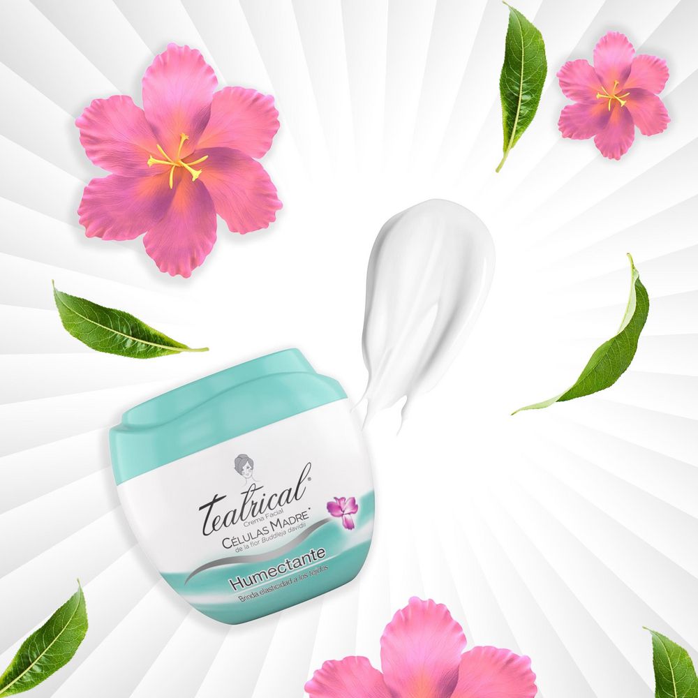 Crema TEATRICAL  (200 gr) img #6