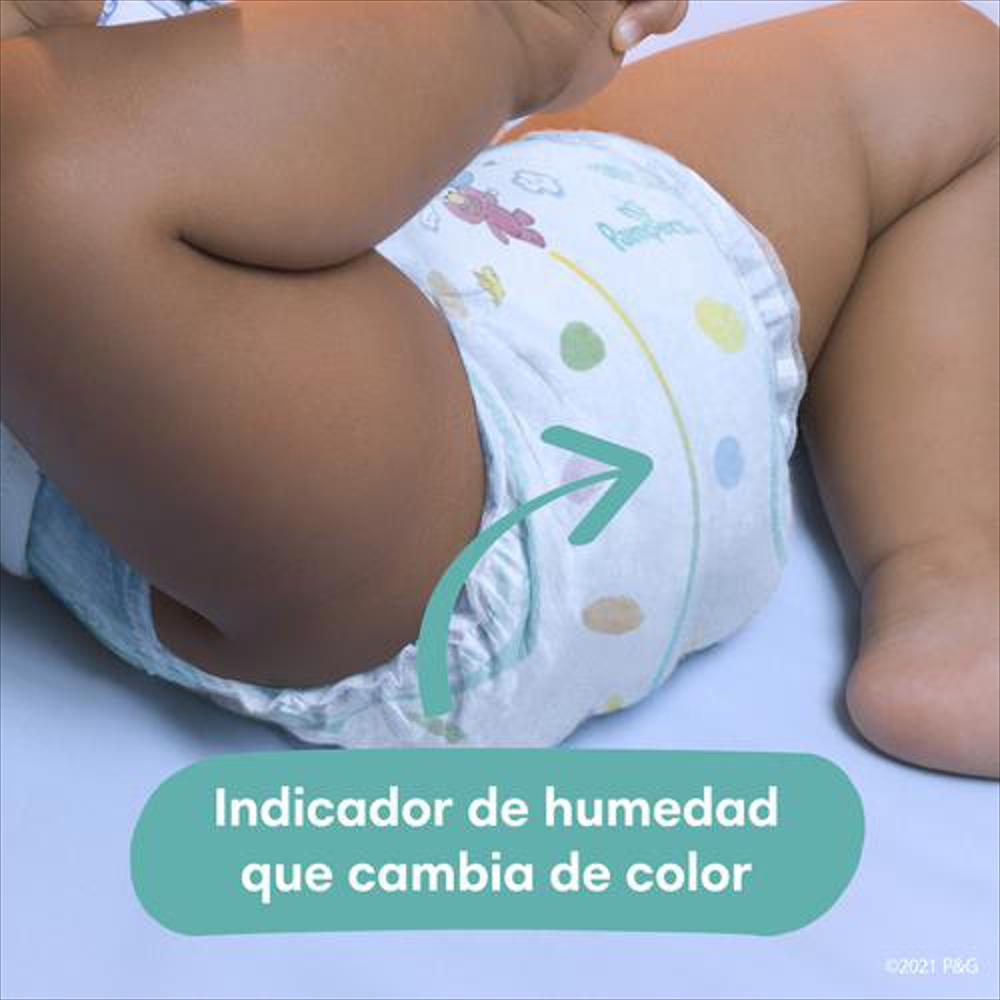 Pañales Pampers Etapa 5 X 112 Unidades img #3