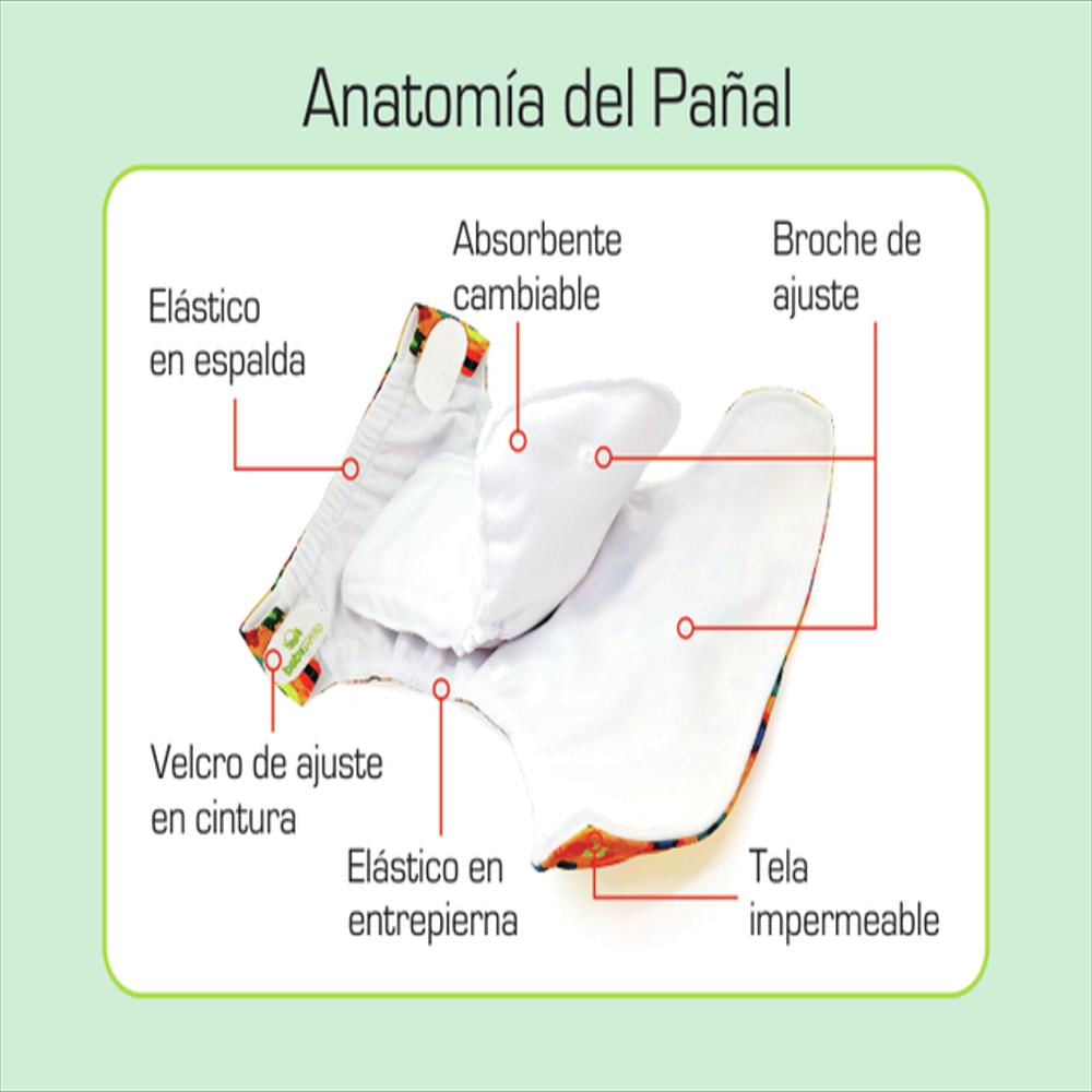 Pañal Ecológico Absorbente Intercambiable Estapado Zoo / Unitalla De 0 A 30 Meses img #3