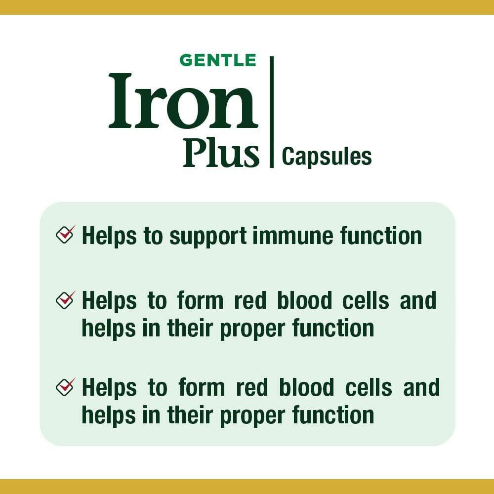 Natures Bounty Iron Hierro 65Mg img #2