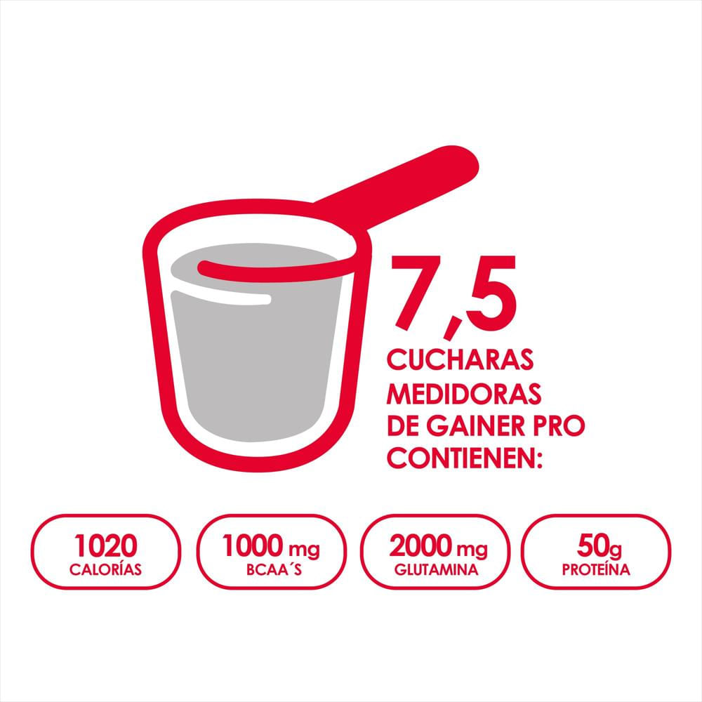 Proteina Gainer Pro 10 Lbs + Power Full img #3