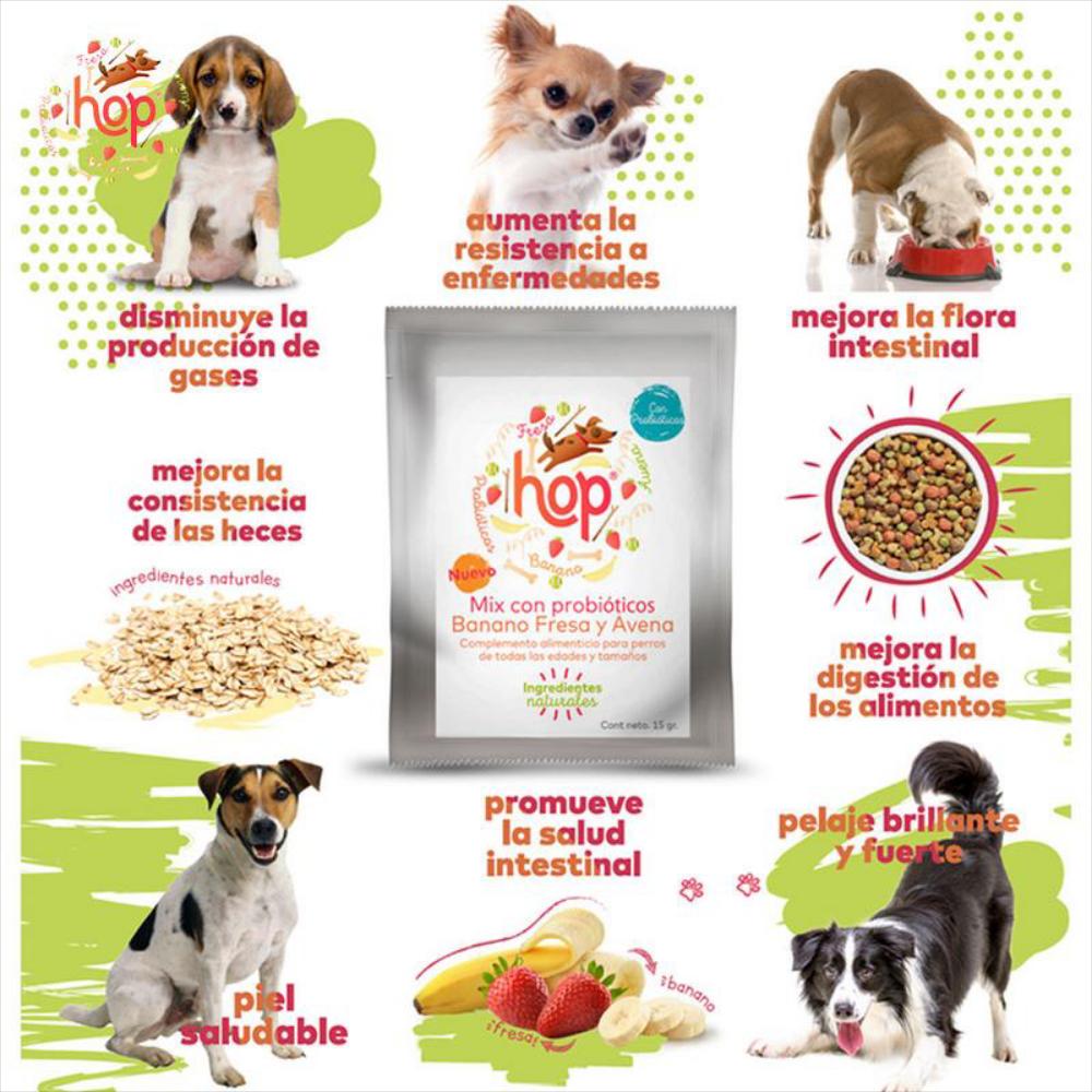 Probióticos Banano+Fresa+Avena Natural Para Perros 120 Gr img #5