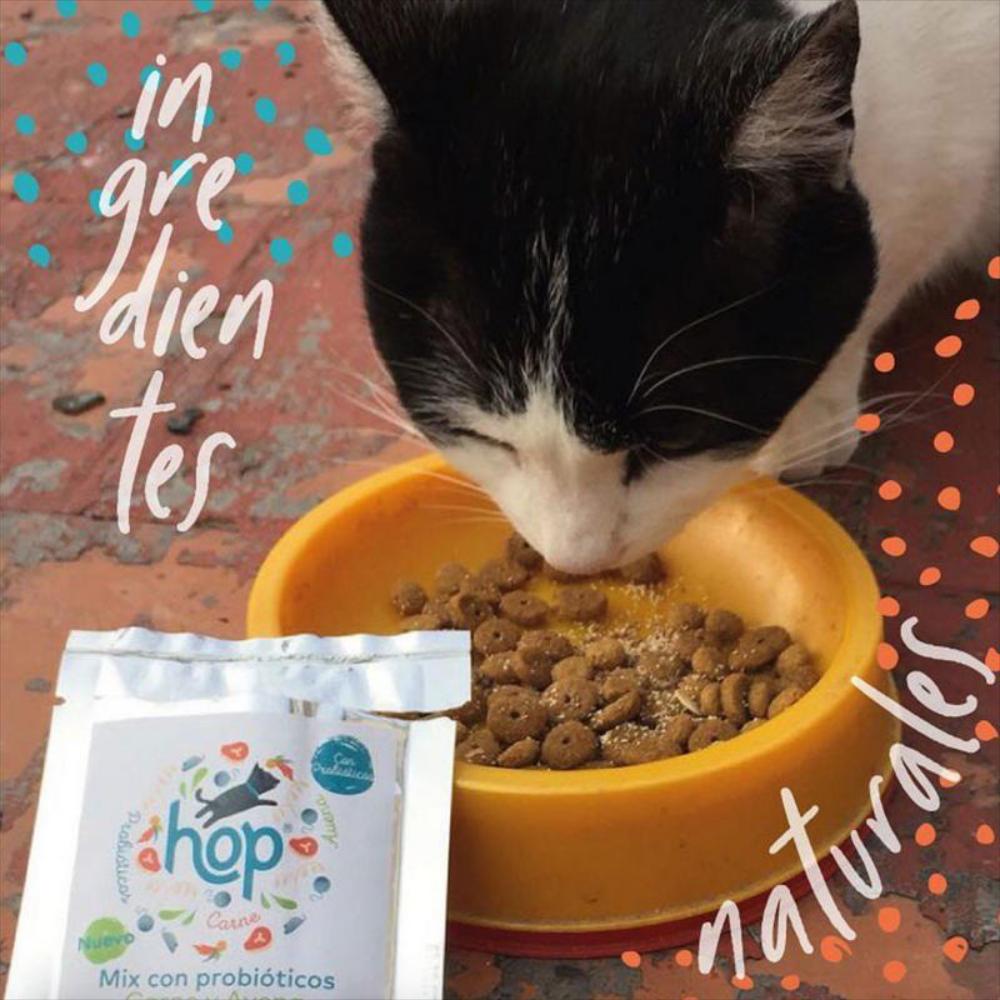 Probióticos Carne+Avena Natural Para Gatos 10 Gr X 2 Und img #3