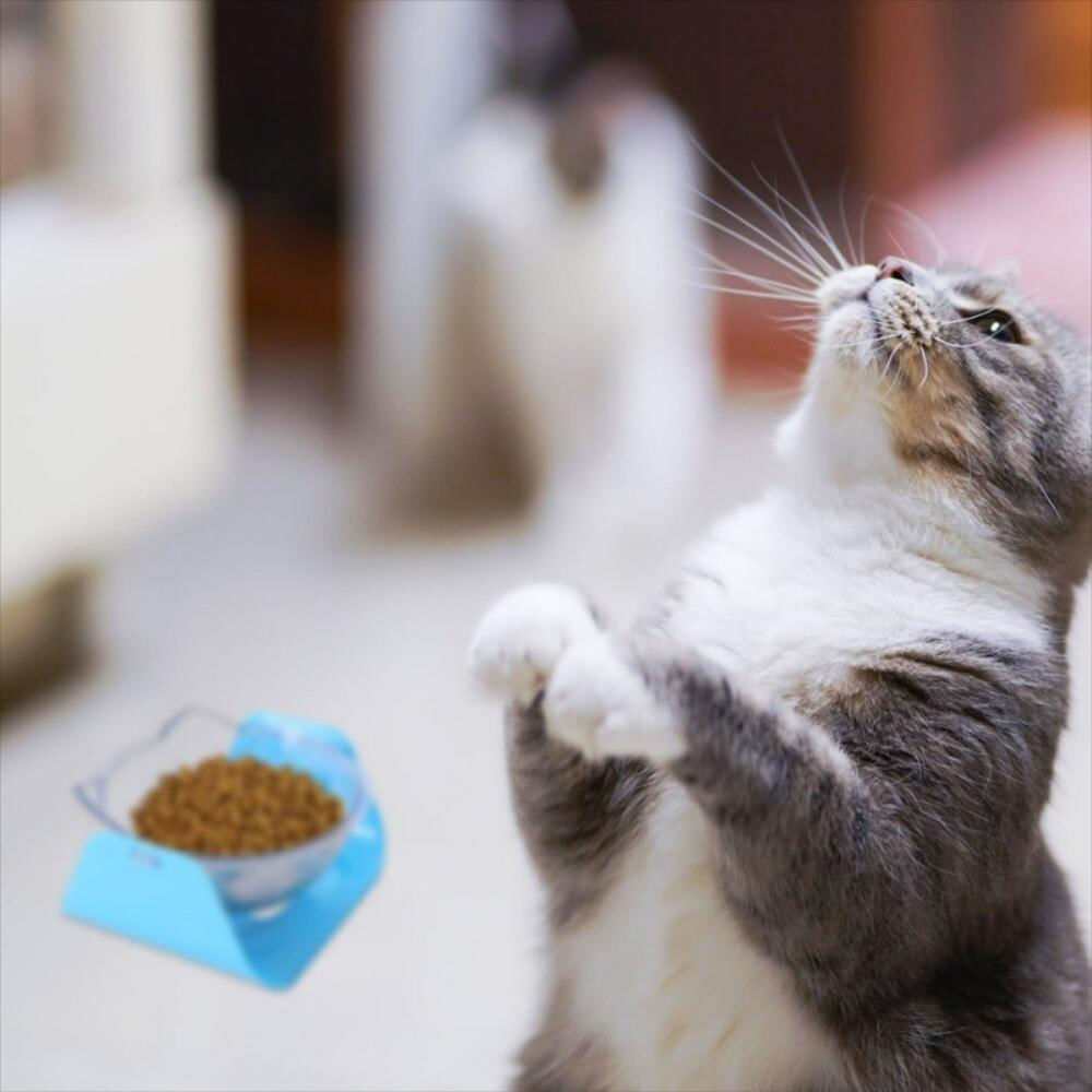 Comedero Bebedero Inclinable Para Gato Y Perro Azul Huella img #2