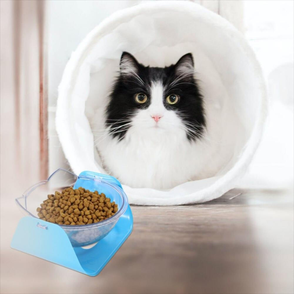 Comedero Bebedero Inclinable Para Gato Y Perro Azul Huella img #4