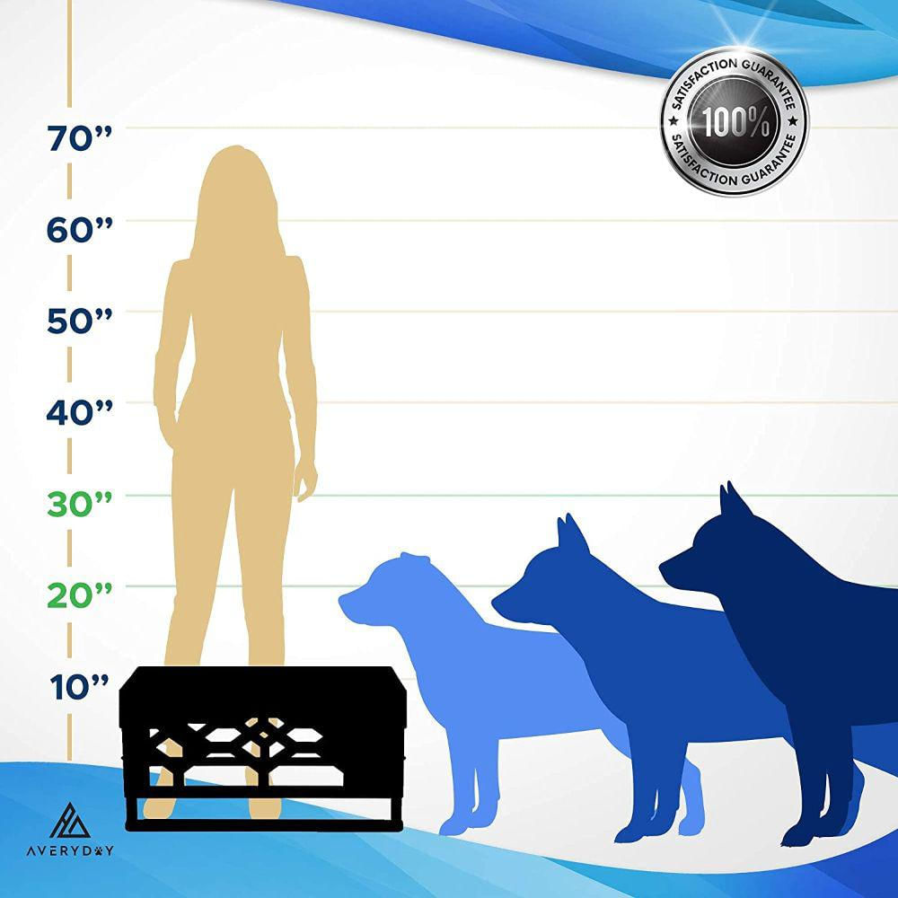 Soporte Ajustable Para Alimentos Para Perros Averyday img #2