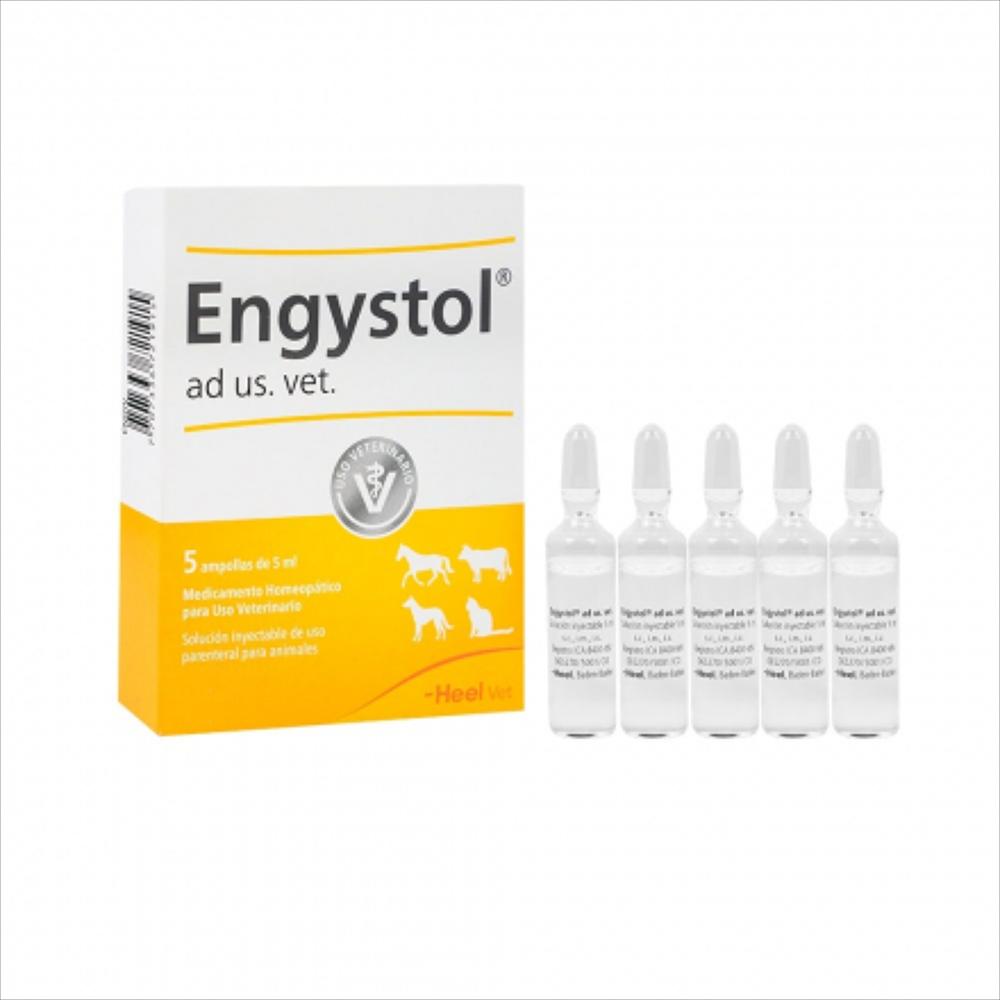 Engystol Ad Us Vet Ampolla 5 Ml img #1