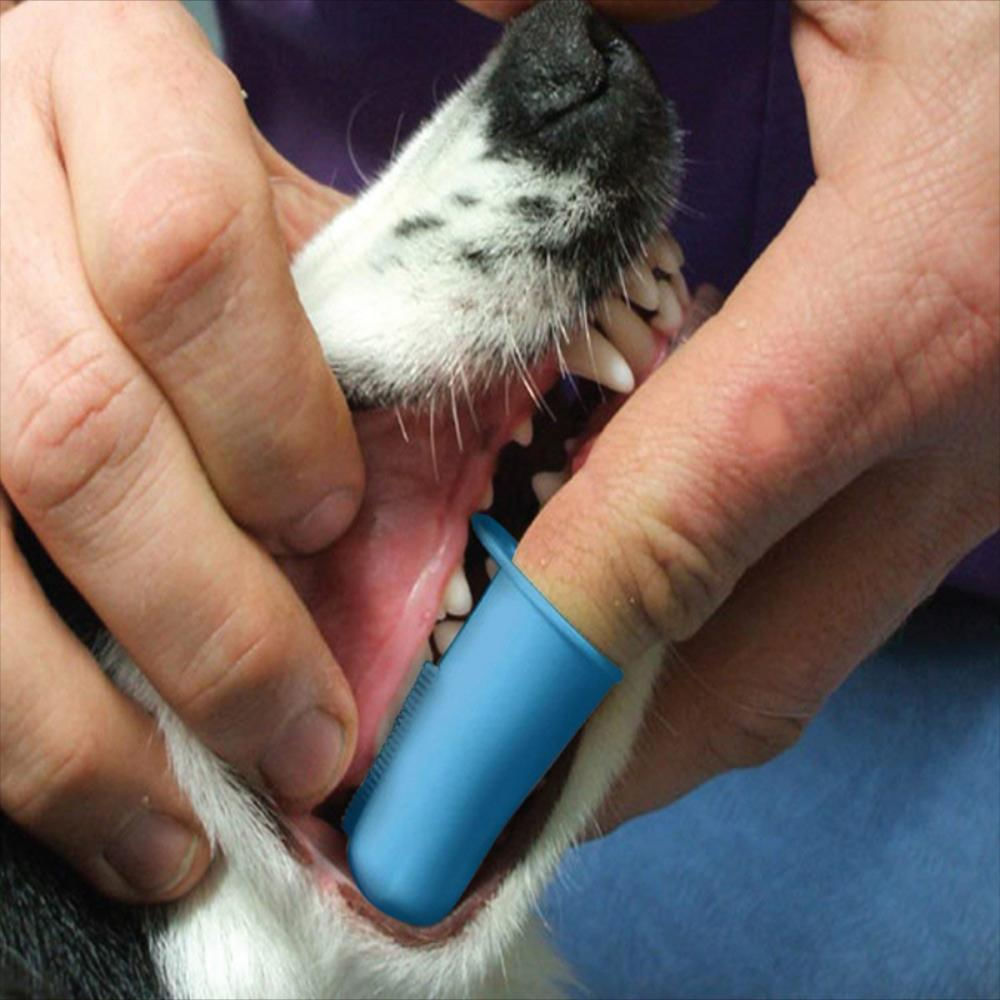 Cepillo De Dientes Para Perro 2Und Dedal Doble Azul Dc img #3