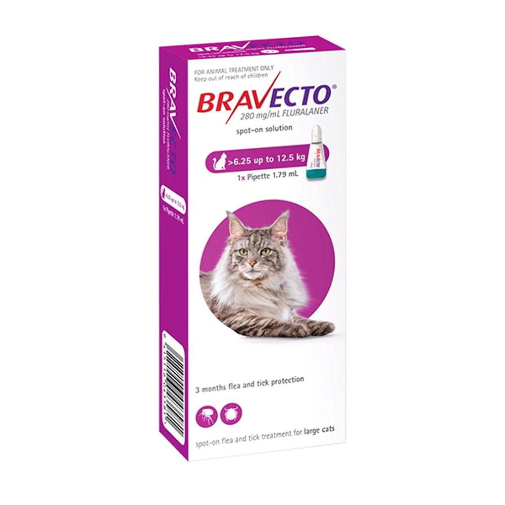 Bravecto Spot On Gatos 500 Mg 6 25 12 5 Kg bravecto-spot-on-gatos-500-mg-6-25-12-5-kg