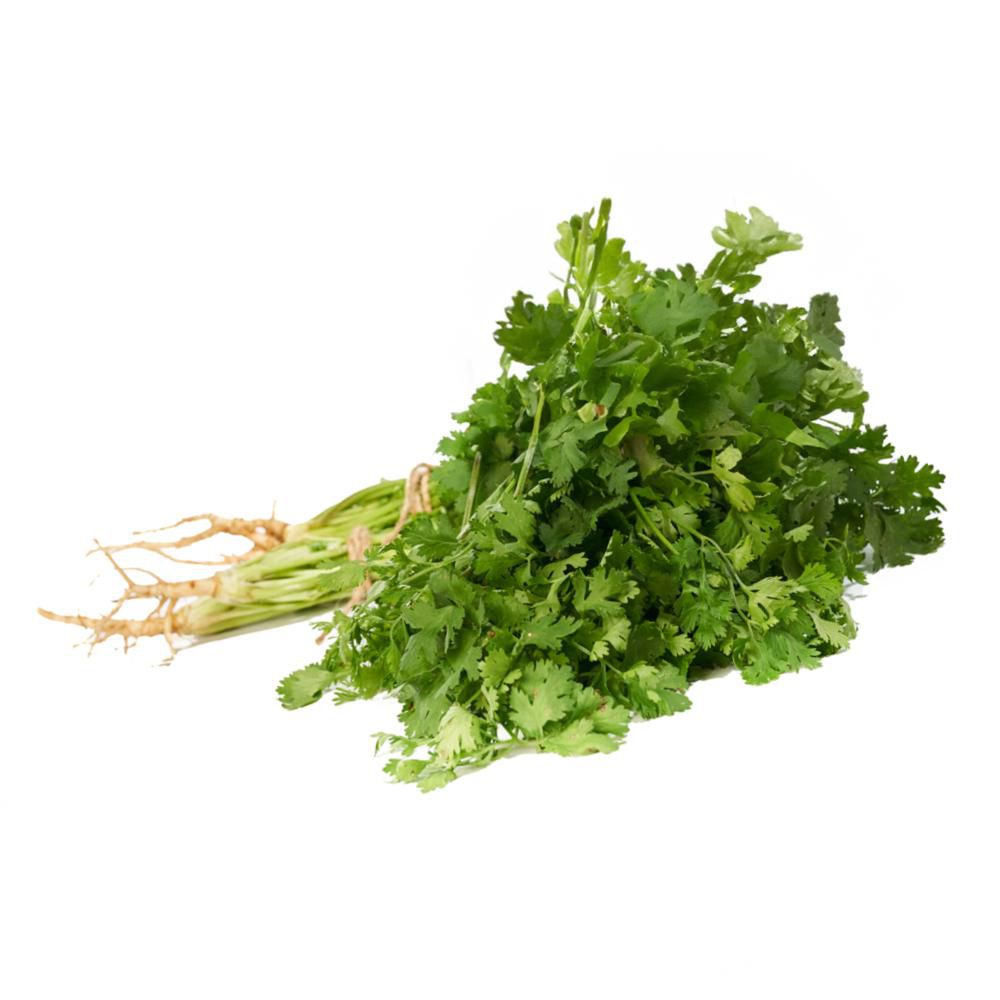 CILANTRO CARULLA 40  gr