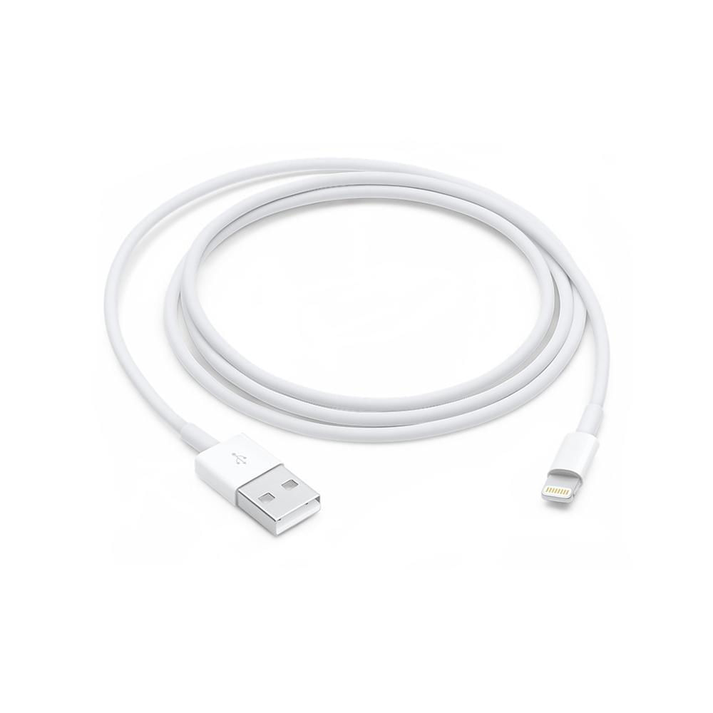 Adaptador Apple Lightning To Usb 1M Md818am A