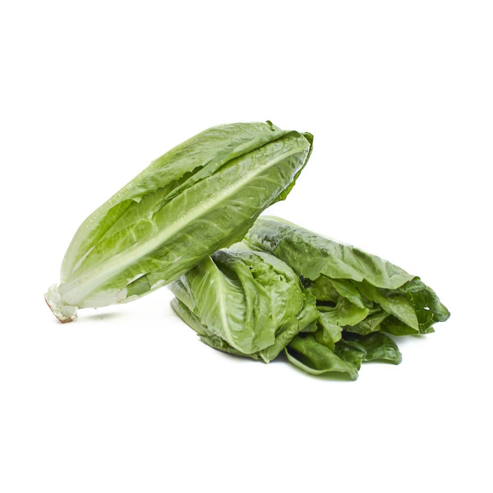 Lechuga Romana organica TAEQ 120 gr