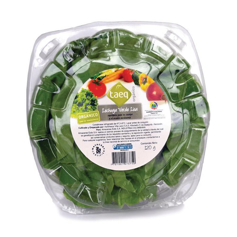 Lechuga Lisa Orgánica TAEQ 120 gr