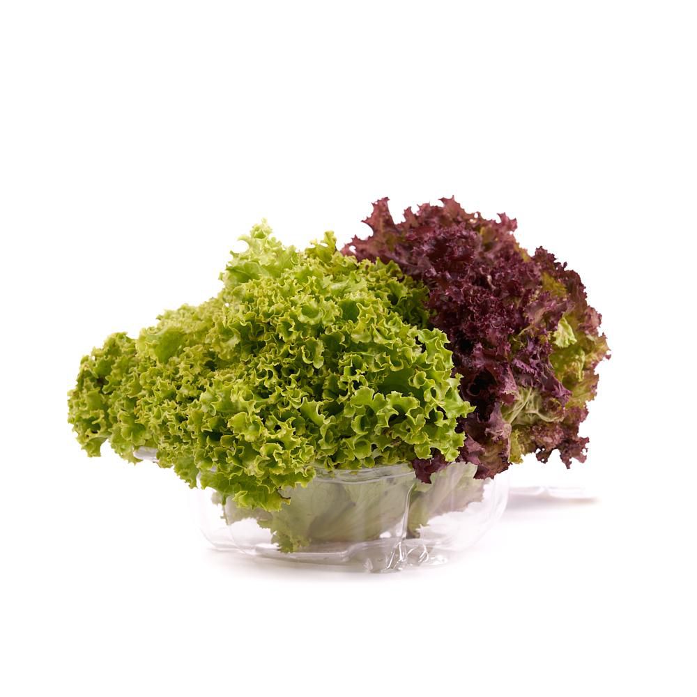LECHUGA HIDROP. TROPICAL DEFRESCURA 170 gr