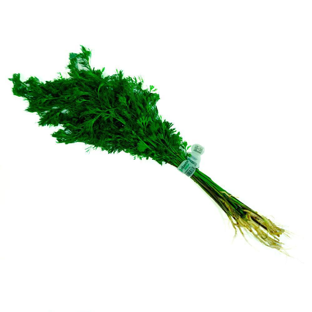 Cilantro kosher TAEQ 100 gr