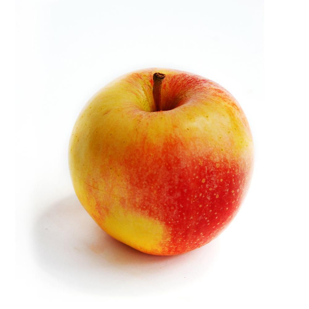 Manzana Gala 1 und