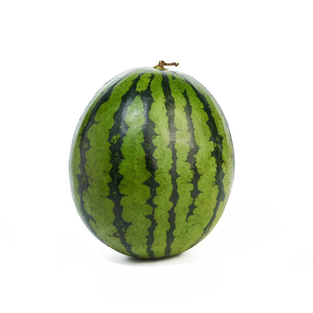 Sandia Gourmet 1 und