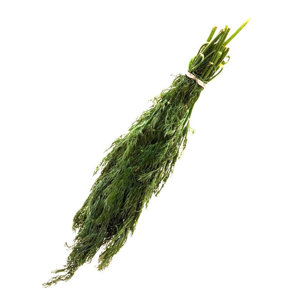 Eneldo Capuchón 50 gr