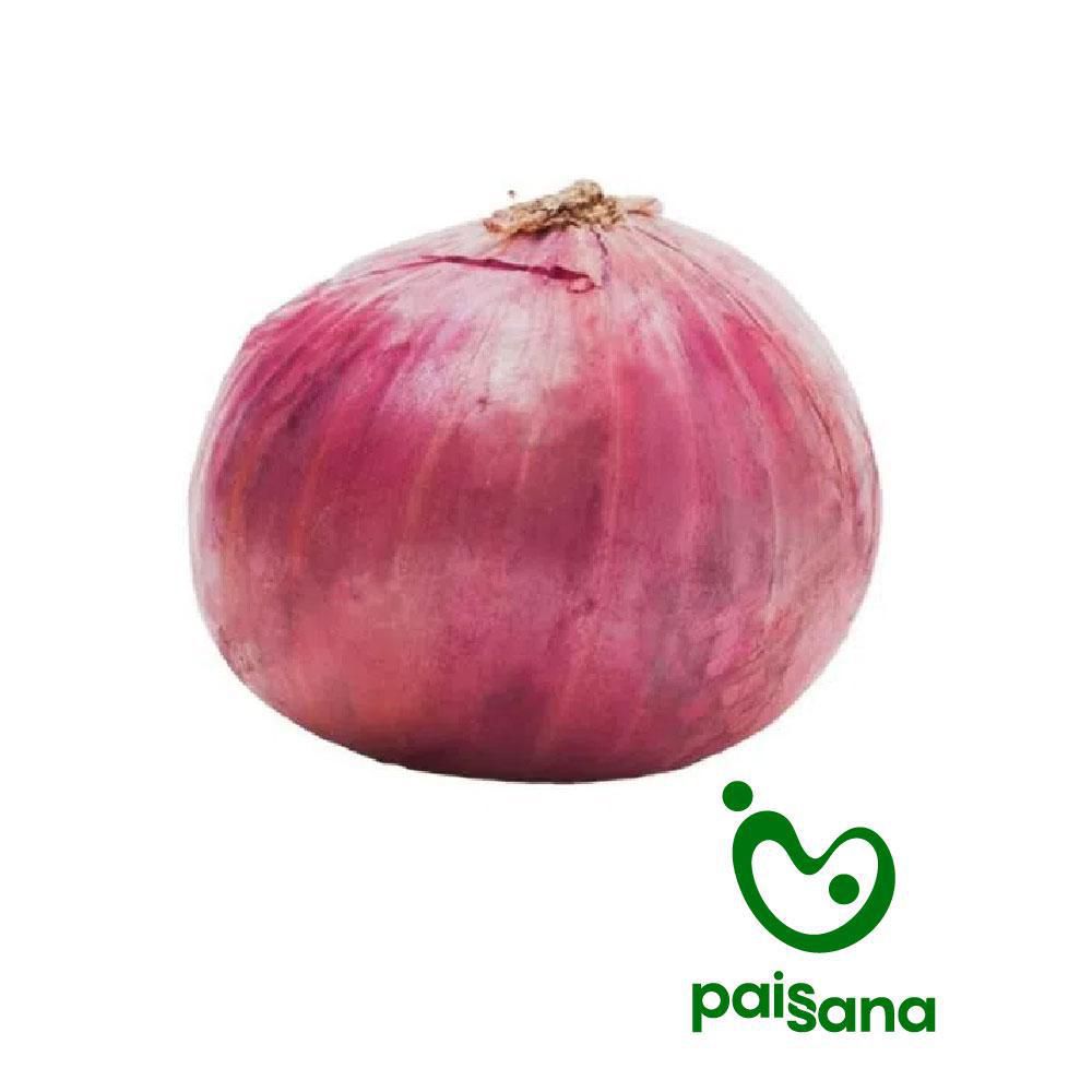 Cebolla Roja 1 und
