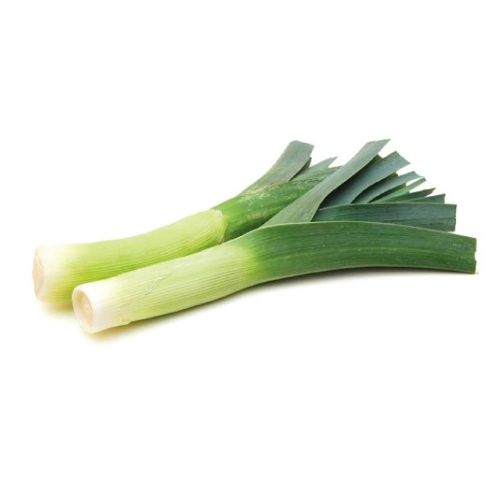 Cebolla Puerro 1 und