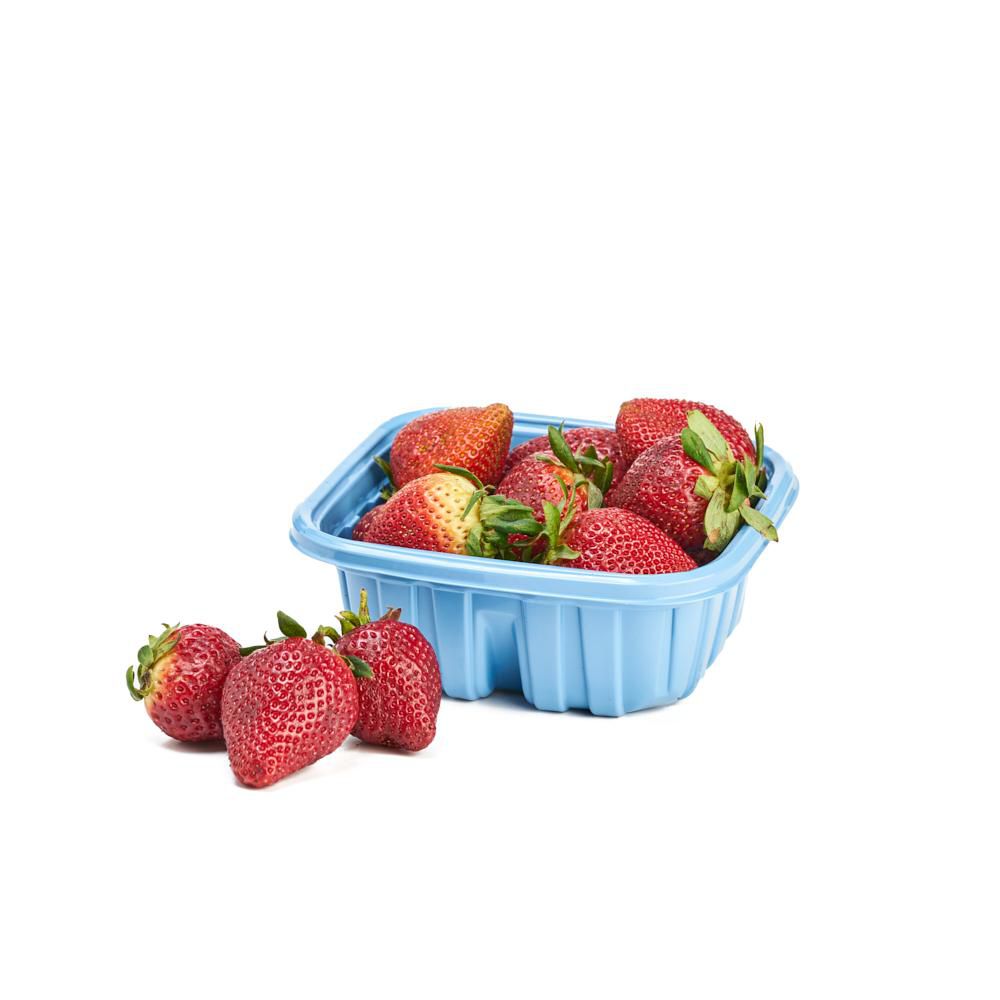 FRESA 1000 gr