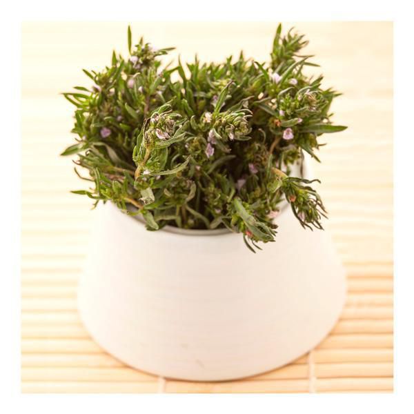 Oregano Fresco Capuchon 50 gr