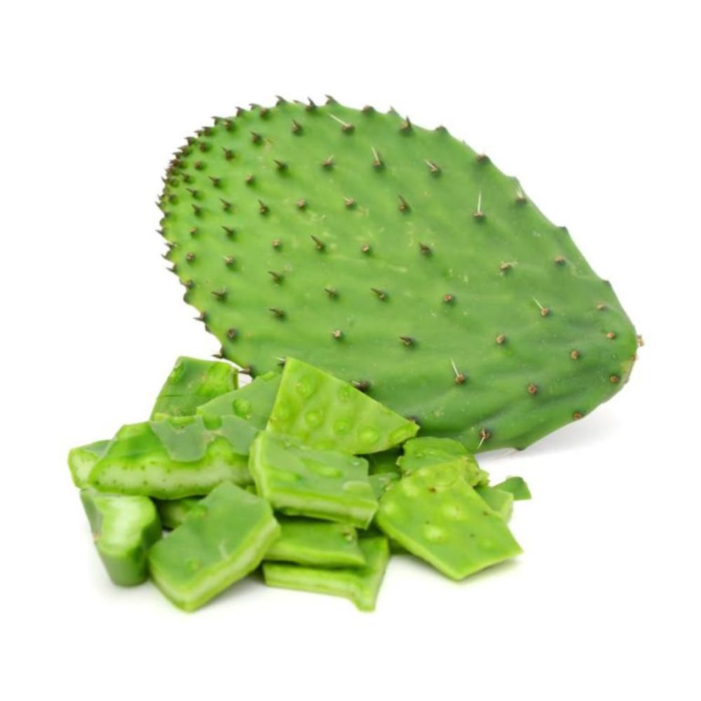 NOPAL