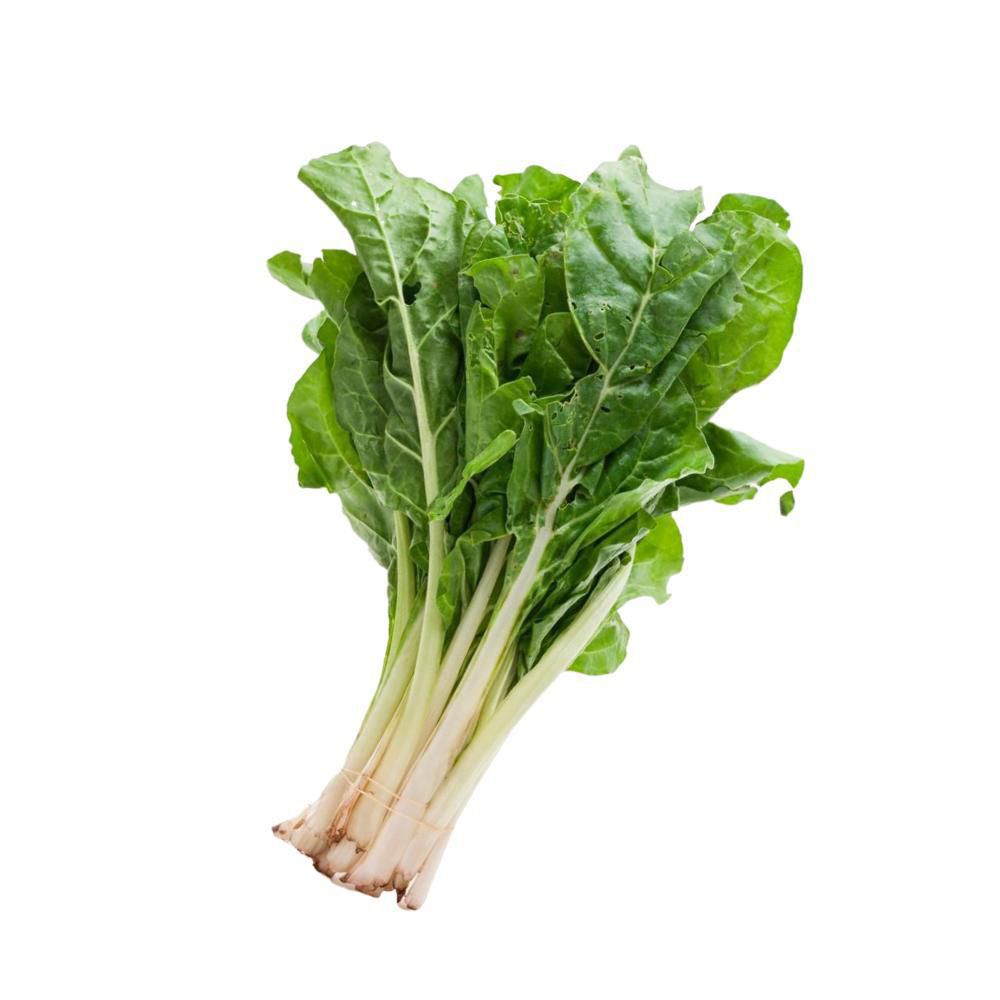 Acelga  500  gr