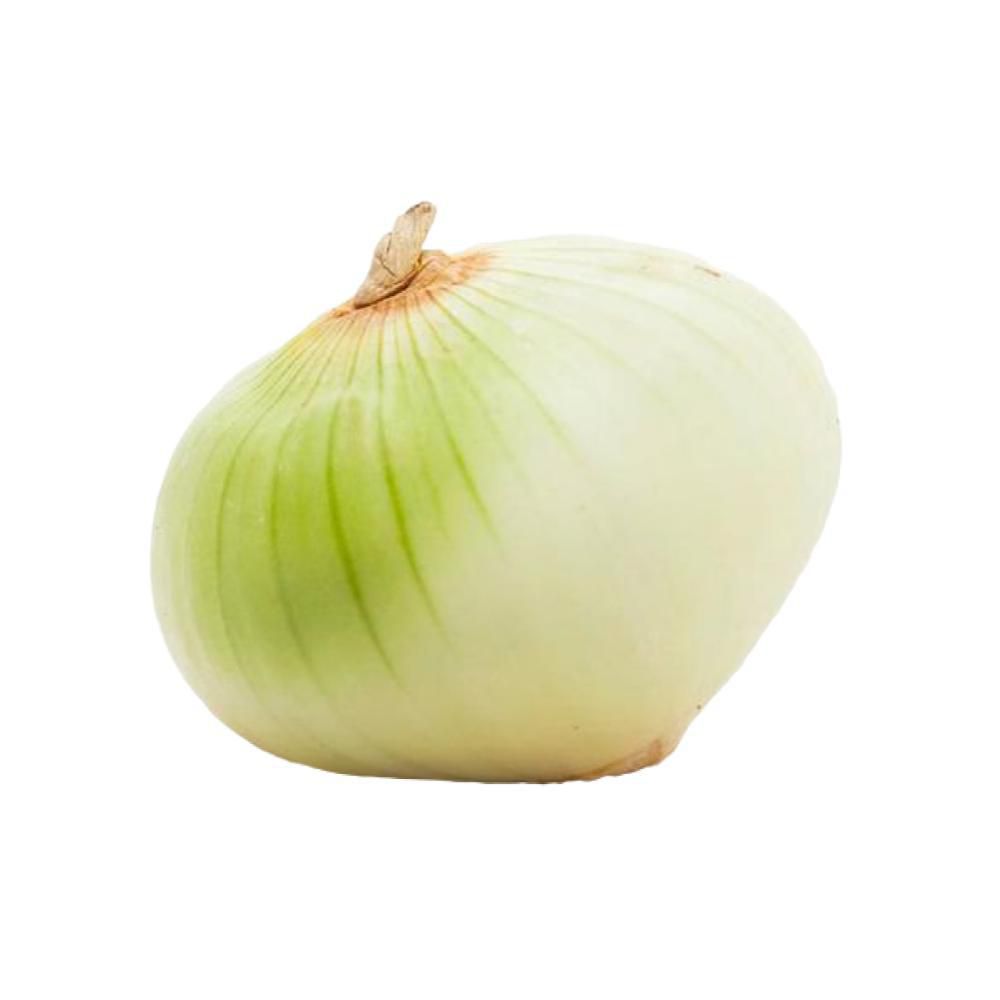 Cebolla Blanca 1 und