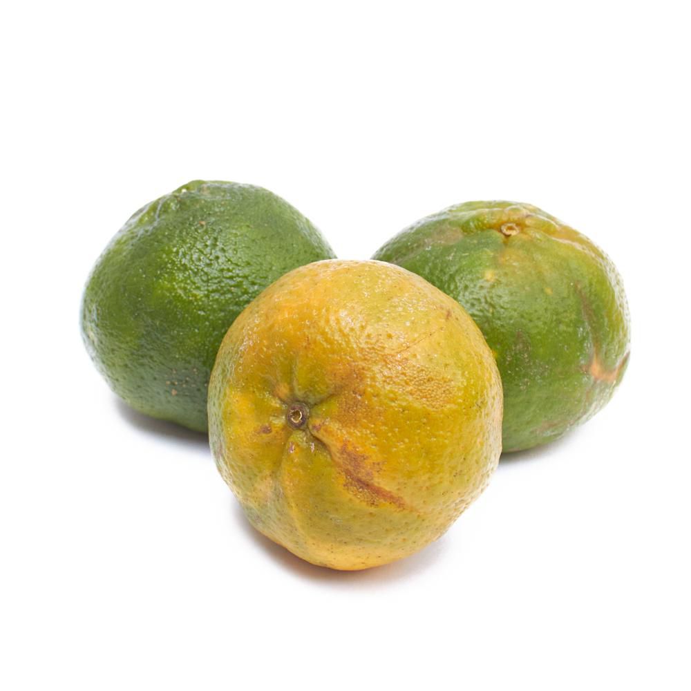 Mandarina Onecco  1  und