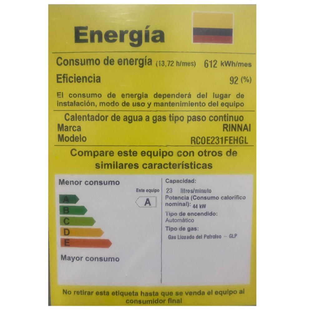 Calentador De Agua De 23 Litros Rinnai Rco E23 Tiro Forzado A Gas Propano Gris img #3