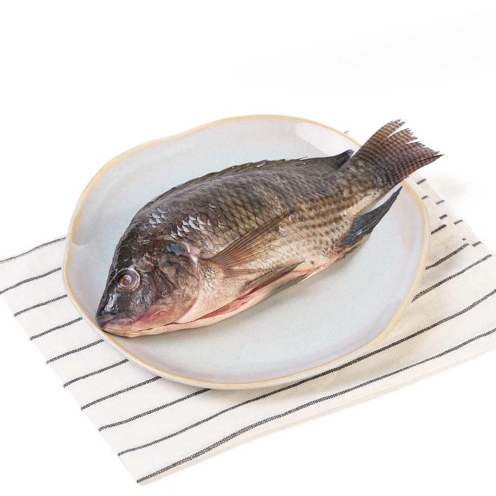 Mojarra o tilapia lora/plateada