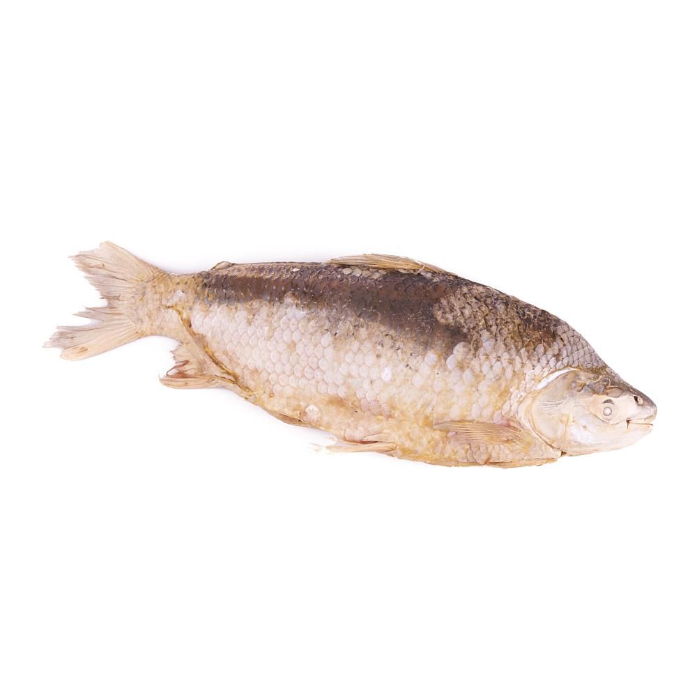 Bocachico criollo