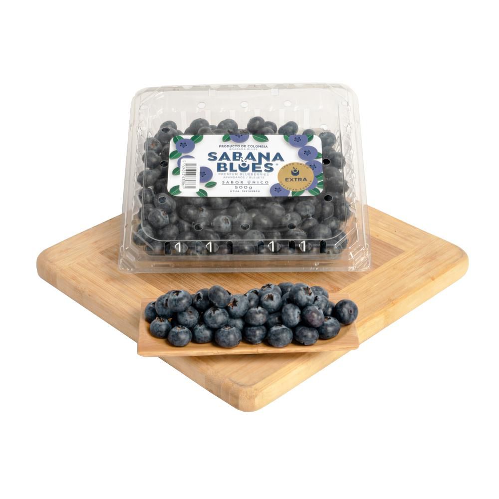 Arándanos Eureka Extra  500  gr